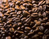 Coffee beans (full-frame)