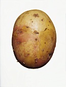 A potato