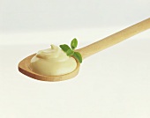 Mayonnaise on spoon