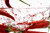 Chilischoten (Sorte Thai Red) in sprudelndem Wasser