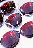 Six glasses of red wine against white background