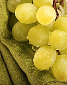 Green grapes with drops of water