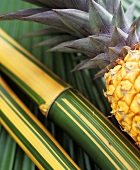 Ananas und Bambusrohr auf einem Palmenblatt