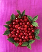 Cherries with leaves in a small basket