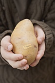 Girl holding an organic potato