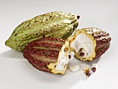 Cacao fruits, whole and broken open