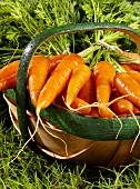 Fresh carrots in a basket (close-up)