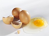 Broken egg with shell and whole eggs