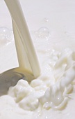 A stream of milk (full-frame)