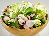 Mixed salad leaves with radishes & mushrooms in wooden bowl