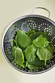 Spinach leaves in a colander