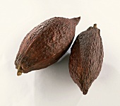 Two cacao pods