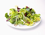 Mixed salad leaves with soya beans