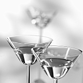 Martini (black and white photo)