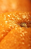 An orange (close-up)