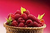 Basket of fresh raspberries