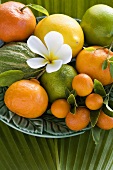 Assorted citrus fruit with leaves and plumeria