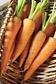 Carrots in basket