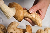 Cleaning ceps with a brush