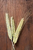 Three cereal ears (rye and barley) on wooden background