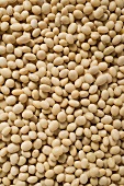 Soya beans (full-frame)