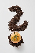 Soil forming a question mark and a tomato