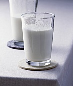 Two glasses of milk