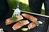 Salmon fillets on a grill