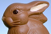 Chocolate Easter Bunny (close-up)