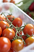 Fresh tomatoes in plastic punnet