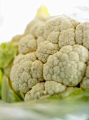 Cauliflower (close-up)