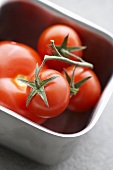 Tomaten in einer Metallschale