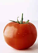 Eine Tomate