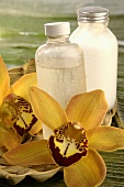 Toner and yellow orchid flower