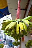 Bananas at a market in Guangzhou (China)