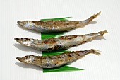 Japanische Makrelen, gegrillt