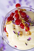 Muesli with vanilla yoghurt and fresh redcurrants