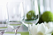 Weingläser mit Blume auf einem Tisch