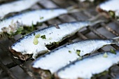 Grilled sardines on grill rack