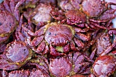 Deep-fried crabs