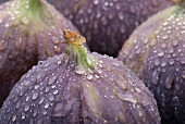 Fresh figs with drops of water