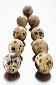 Quails' eggs