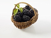 Blackberries in a little basket