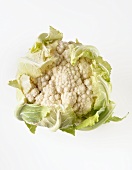 A cauliflower