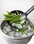 Quenched beans being removed from a bowl of iced water
