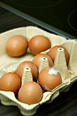 Eggs in an egg box with a feather