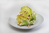 Butter Lettuce Salad with Blue Cheese Dressing; White Background