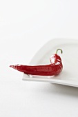 A red chilli pepper on a plate