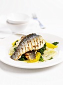 Grilled sea bass on spinach with oranges