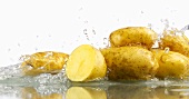 Kartoffeln, von Wasser umspült
